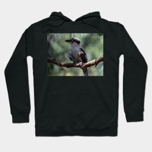 Cheeky Kookaburra Hoodie